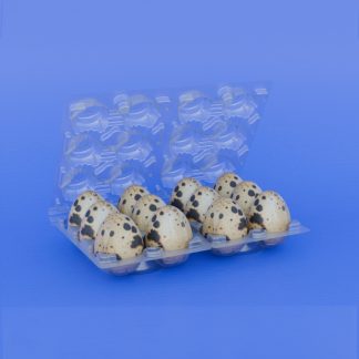 Lovell custom packaging quail egg tray for 12 eggs