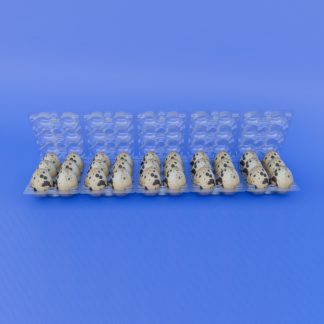 Lovell custom packaging quail egg tray 30