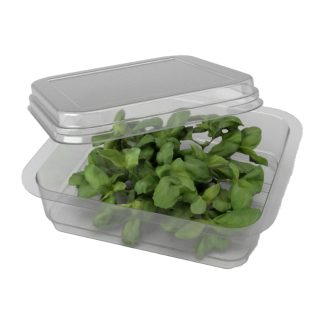 Herbs Lid & Base (Open)