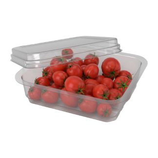 Tomato Lid & Base (Open)