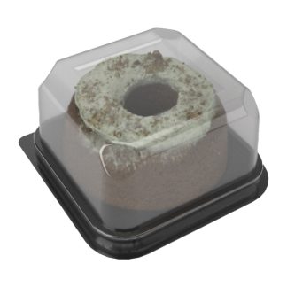 Square Cake Base & Lid (Carrot Cake)